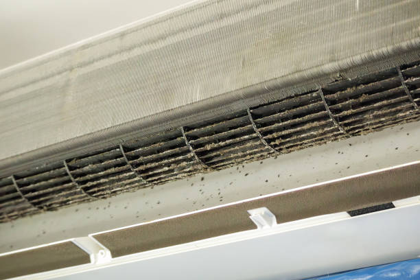 Best Residential Air Duct Cleaning  in Yermo, CA